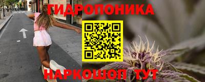 мескалин Кингисепп