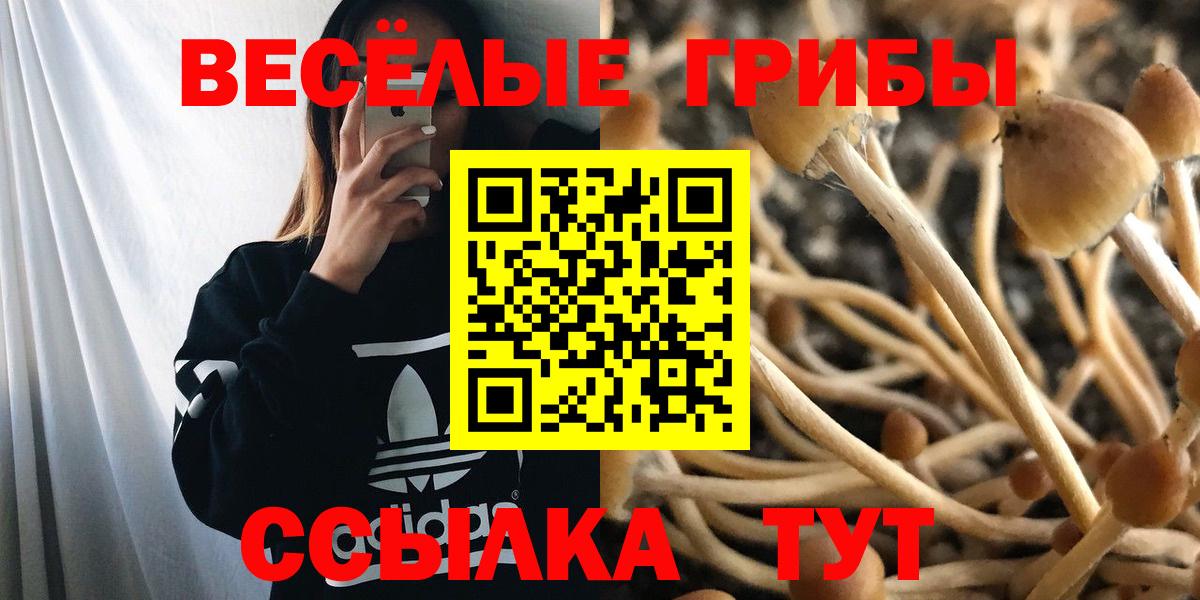 Галлюциногенные грибы Magic Shrooms Геленджик